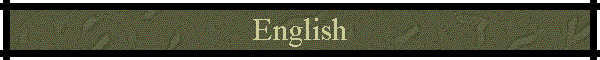 Cyber Letter 19