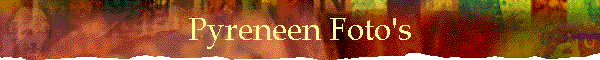 Pyrenee�n Foto's