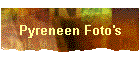 Pyreneen Foto's
