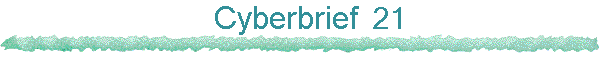 Cyberbrief 16