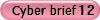Cyber brief 12