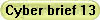 Cyber brief 13