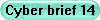 Cyber brief 14