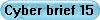 Cyber brief 15