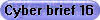 Cyber brief 16