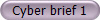 Cyberbrief 1