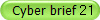 Cyber brief 21