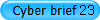 Cyber brief 23