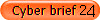 Cyber brief 24