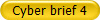 Cyber brief 4