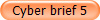 Cyber brief 5