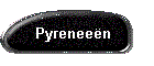 Pyreneen